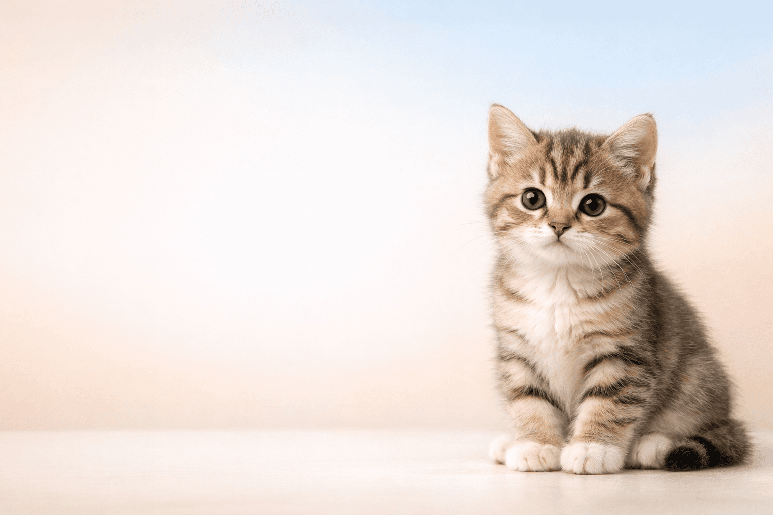 Brinquedos que gastam energia